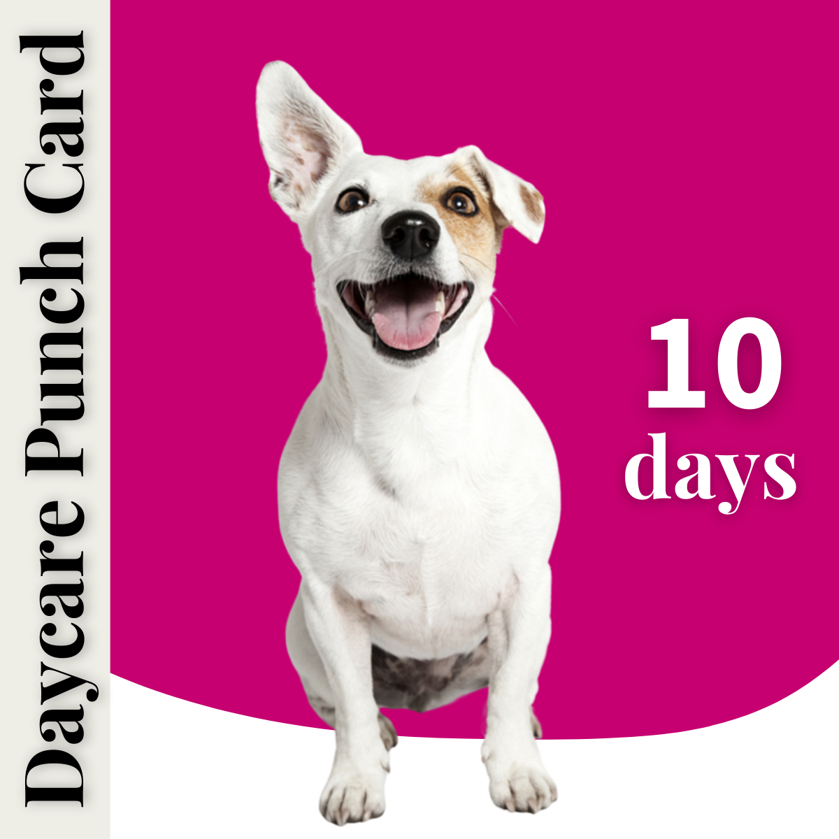 Daycare Punch Card 10 Days Kennel Club Lax